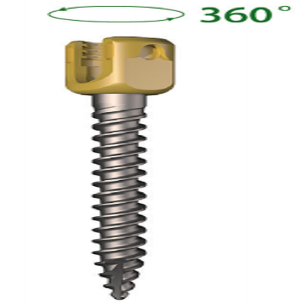 LEGERITY 5.5 Thoracolumbar Posterior Pedicle Screw-Rod Fixation System - Image 4