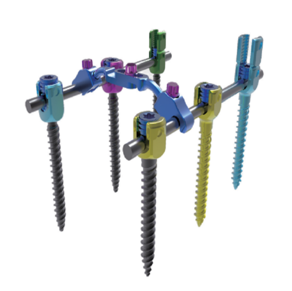 LEGERITY 5.5 Thoracolumbar Posterior Pedicle Screw-Rod Fixation System