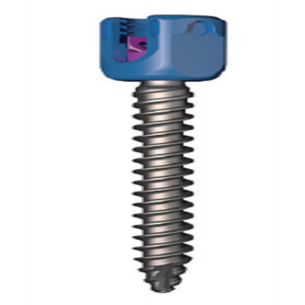 LEGERITY 5.5 Thoracolumbar Posterior Pedicle Screw-Rod Fixation System - Image 2